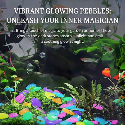 🔥Buy 1000 Get 1000 Free🔥Luminous Stones for Garden & Home Decoration
