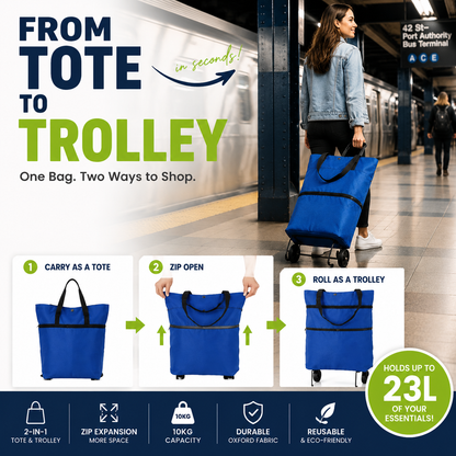 Foldable Eco-friendly Shopping Bag