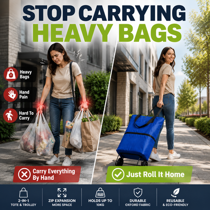 Foldable Eco-friendly Shopping Bag