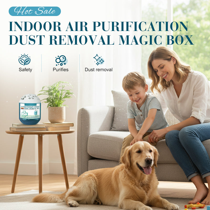 🔥2026 Hot Sale🔥Indoor Air Purification Dust Removal Magic Box🏠🌿 -Remifa®