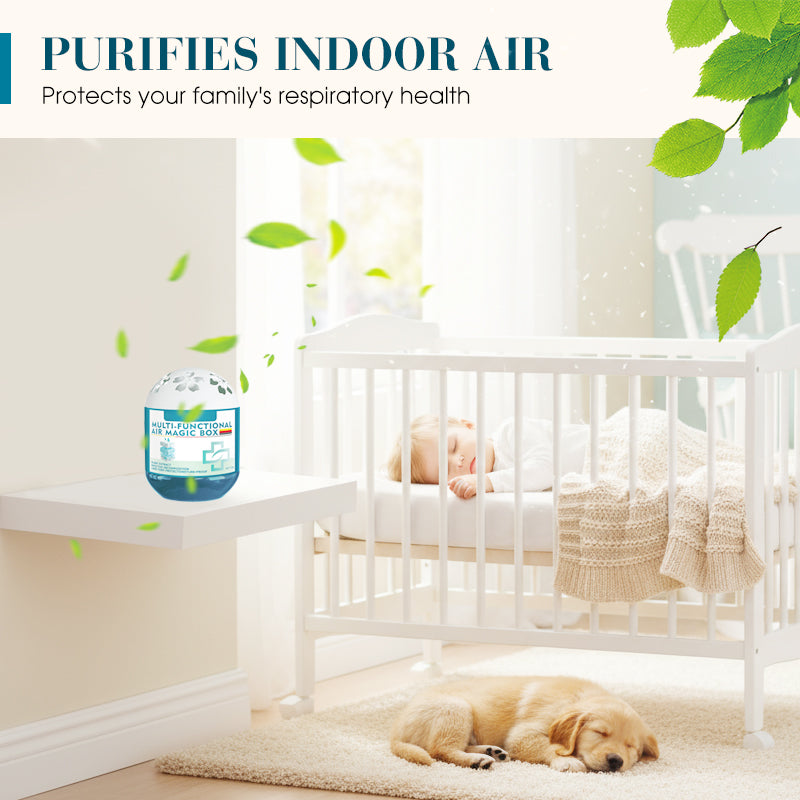 🔥2026 Hot Sale🔥Indoor Air Purification Dust Removal Magic Box🏠🌿 -Remifa®