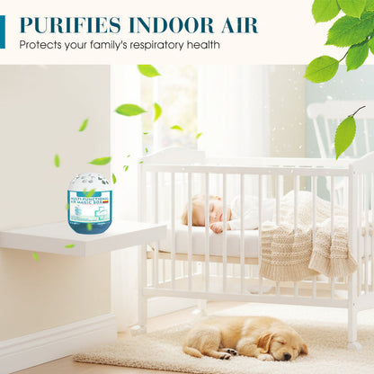 🔥2026 Hot Sale🔥Indoor Air Purification Dust Removal Magic Box🏠🌿 -Remifa®