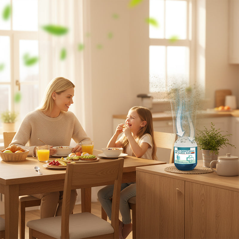 🔥2026 Hot Sale🔥Indoor Air Purification Dust Removal Magic Box🏠🌿 -Remifa®