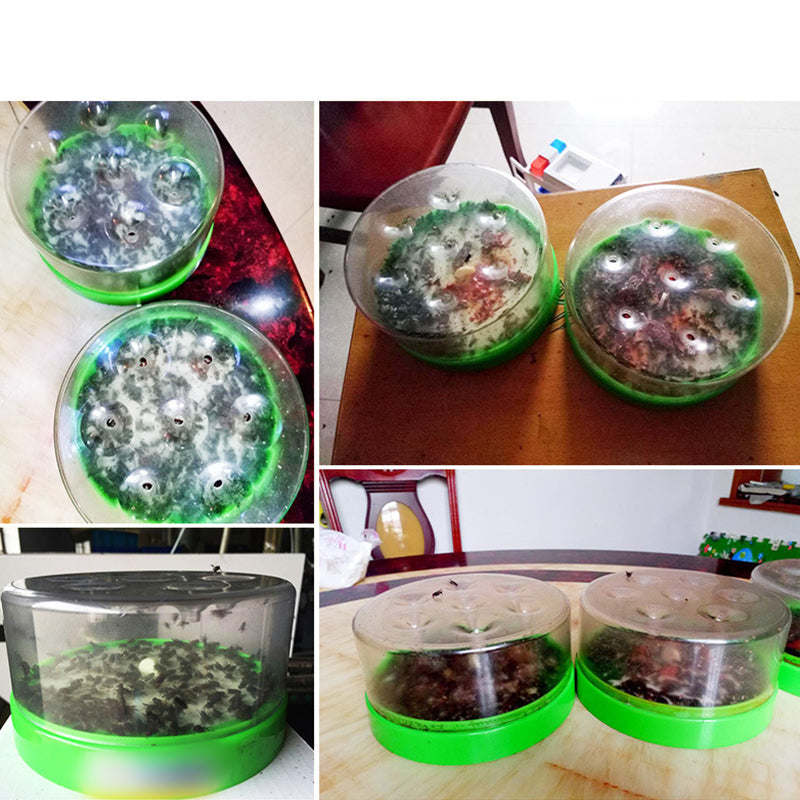 🏠🛡️Reusable Non-Electric Fly Trap--Near kitchen sinks, trash cans, pet bowls, garage windows, patios, and BBQs.